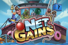 Net gains